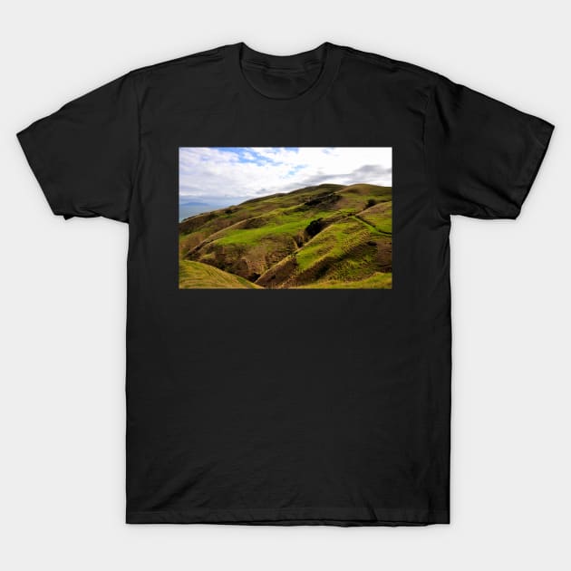 Nouvelle Zélande - Péninsule de Coromandel T-Shirt by franck380